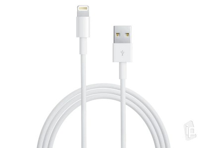 Nabjac a synchronizan kabel USB - Lightning pro Apple zariadenia (2m)