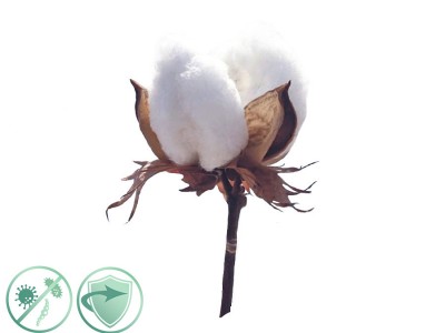 alfapureo (New Aroma) Soft Cotton - Dezinfekn aroma olej 200 ml
