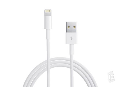 Nabjac a synchronizan kbel Lightning / USB pre Apple iPhone, iPad Mini a iPad Air (3m)